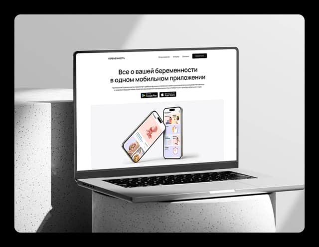 Single page web app interface showing dynamic content loading and responsive navigation elements.