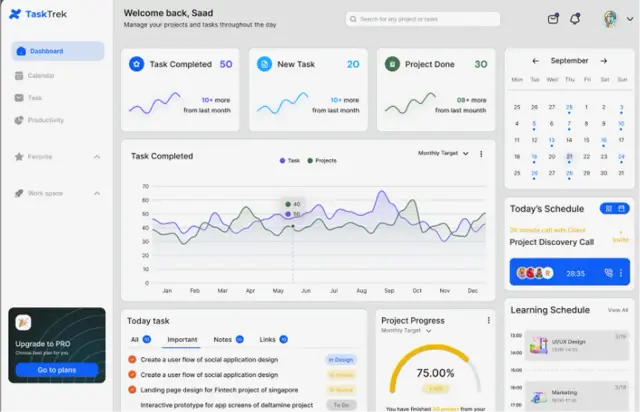 Web app development services dashboard showing responsive interface design with live performance analytics metrics